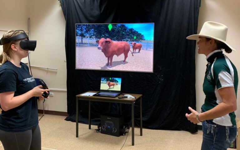 Large Animal Handling in VR