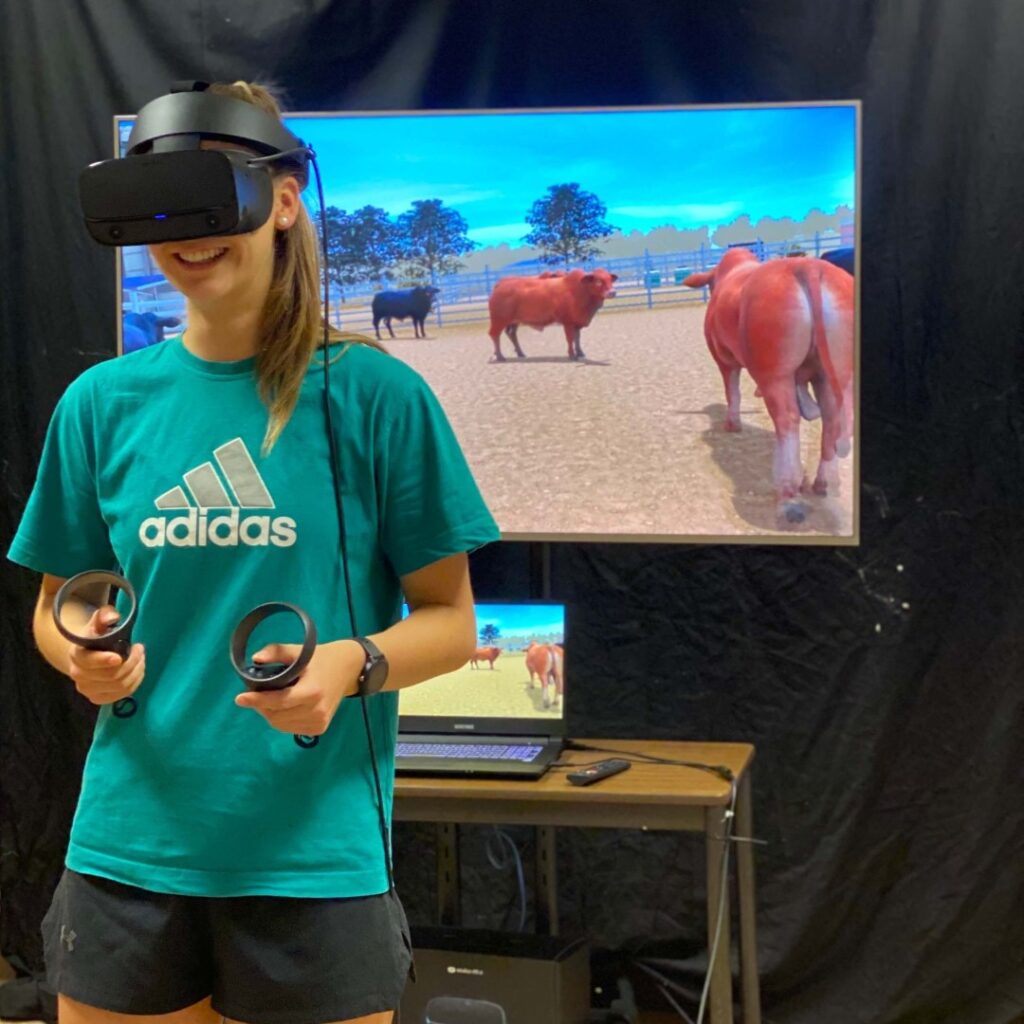 Virtual Reality Large Animal Handling Simulator