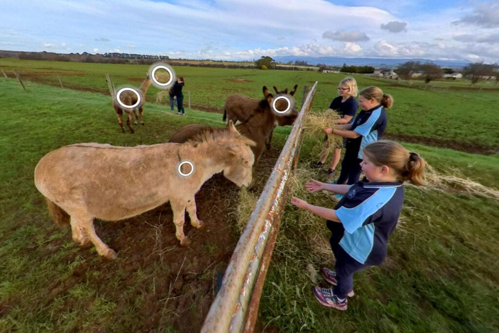 virtual tour farm