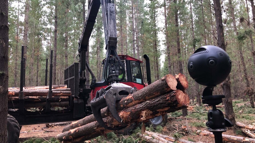 Logs being lifted next to Insta360 Pro camera filming for Forest Learning 360 video production