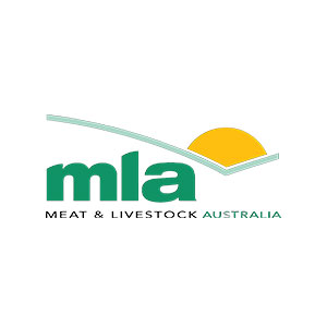 MLA