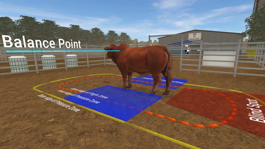 Virtual reality in agriculture used in the University of Adelaide's Animal Handling simulator