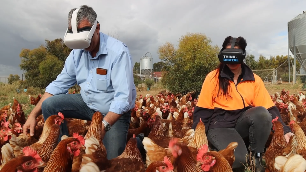 Virtual Reality Free Range Chickens - Second Livestock